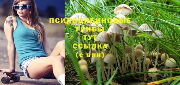 твердый Алзамай