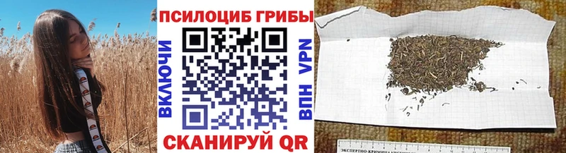 Галлюциногенные грибы Magic Shrooms  Питкяранта 